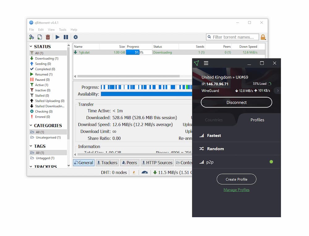 Usando o Proton VPN para baixar um arquivo torrent com segurança