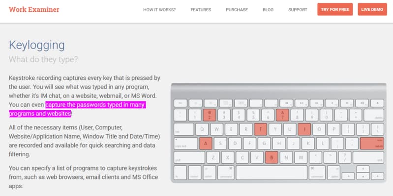 Work Examiner key logging screenshot